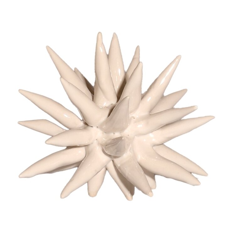 Scultura Riccio Pacri
